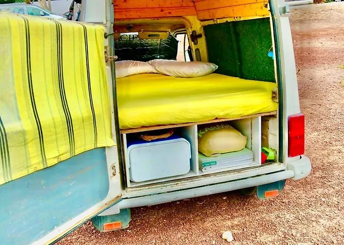 Vamos A La Playa De Fuerteventura *